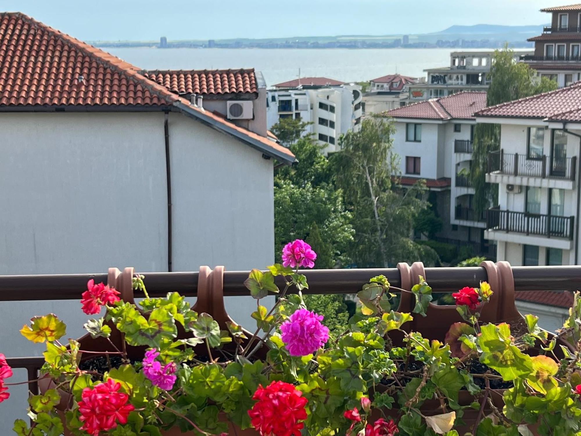 شقة La Terrace Sea View سفيتي فلاس المظهر الخارجي الصورة